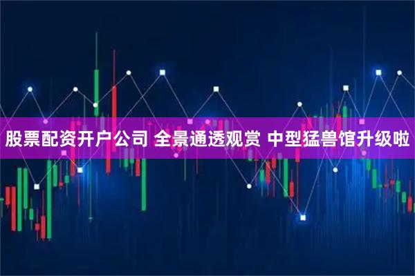 股票配资开户公司 全景通透观赏 中型猛兽馆升级啦